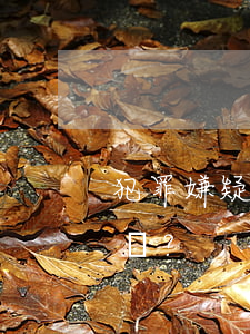 犯罪嫌疑人被通緝令抓獲怎么處理？